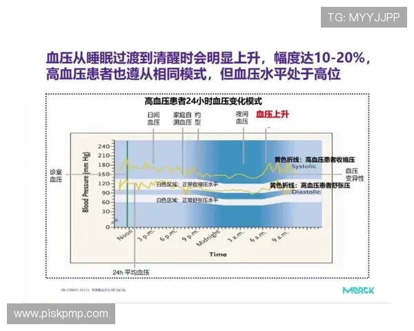 北京乒乓球队防守策略解析与战术创新探讨