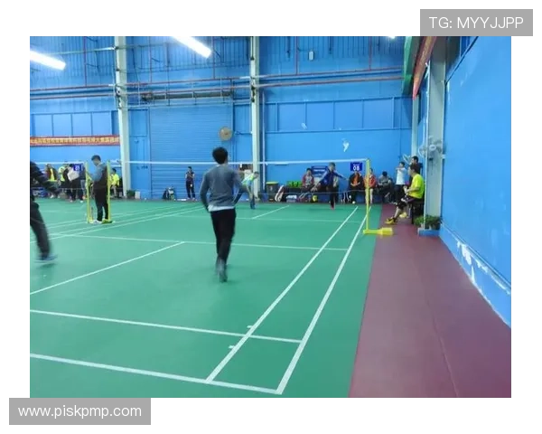 赛后分析：北京羽毛球队与杭州羽毛球队的战术意识与团队配合探讨