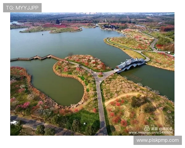 足球明星菲罗的精彩瞬间与魅力风采全景展示